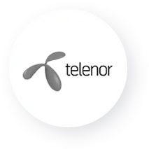 telenor-testimonial-logo